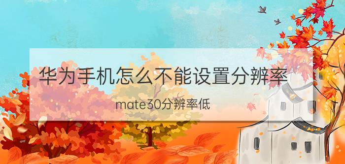 华为手机怎么不能设置分辨率 mate30分辨率低？